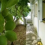 Vintage House