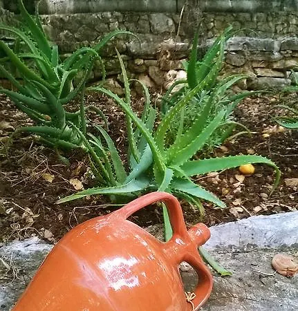 Semesterbostad Vintage House Agia Efimia
